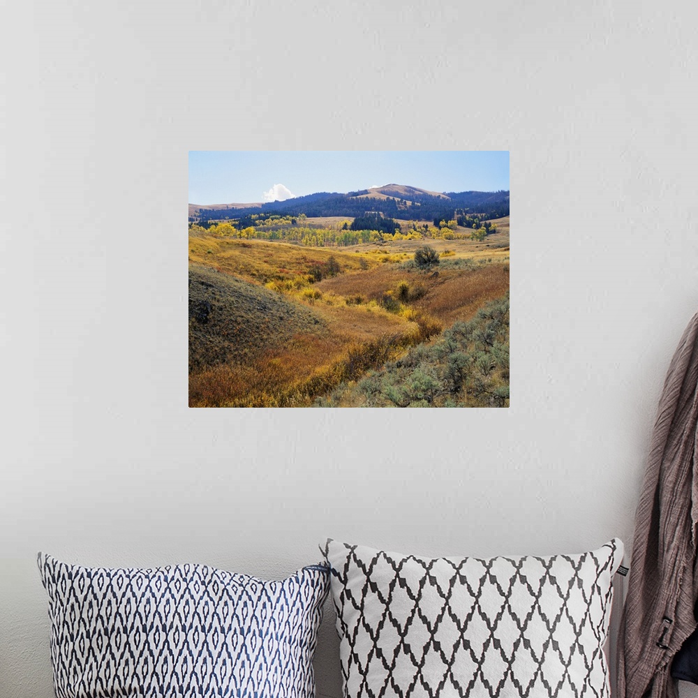 A bohemian room featuring Wyoming, Yellowstone National Park, Lamar Valley, Panoramic view of a landscape