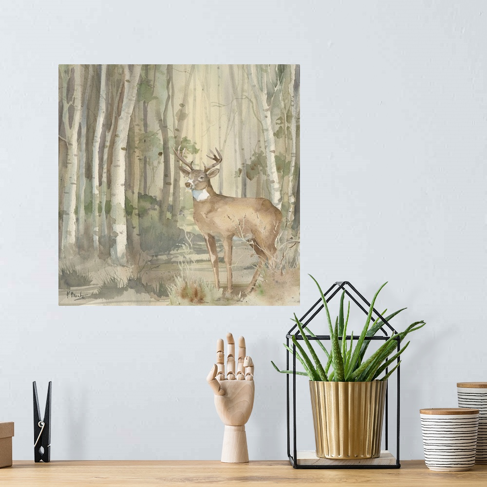 A bohemian room featuring Birch Forest II