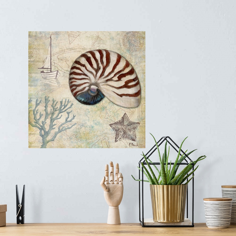 A bohemian room featuring Decorative panel made of different nautical elements including a nautilus shell, coral, a starfis...