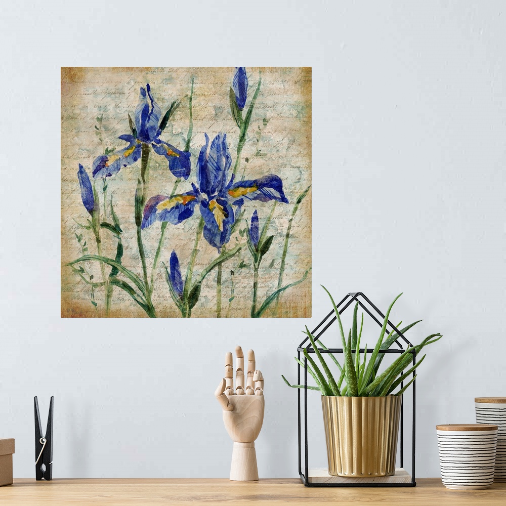 A bohemian room featuring Painting of a group of iris flowers over antique paper with faded handwriting.