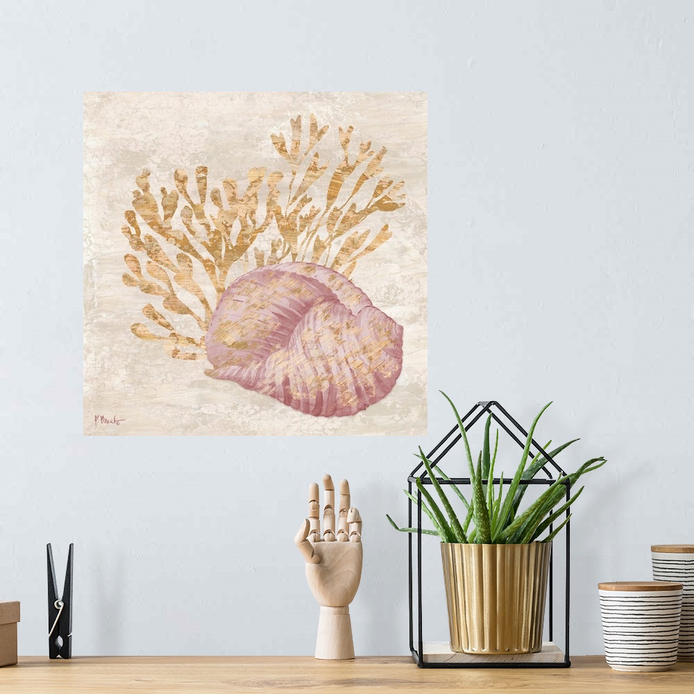 A bohemian room featuring Shells.