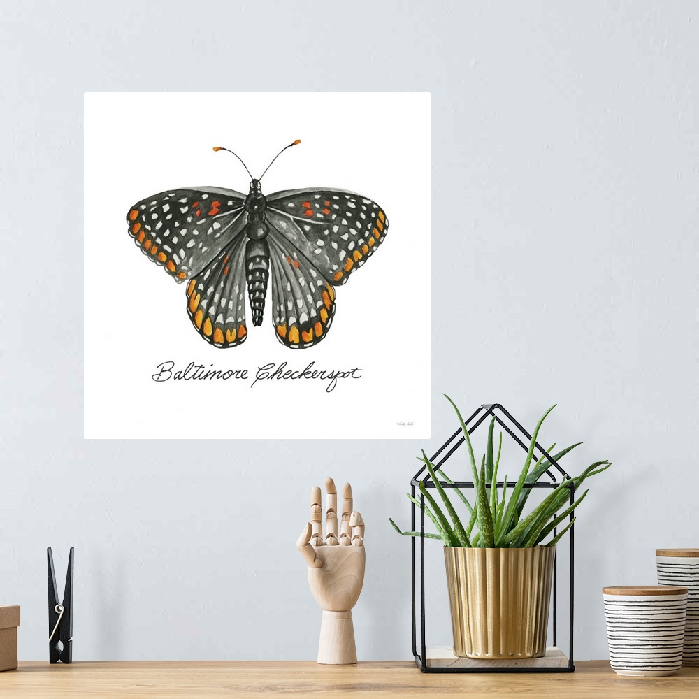 A bohemian room featuring Baltimore Checkerspot