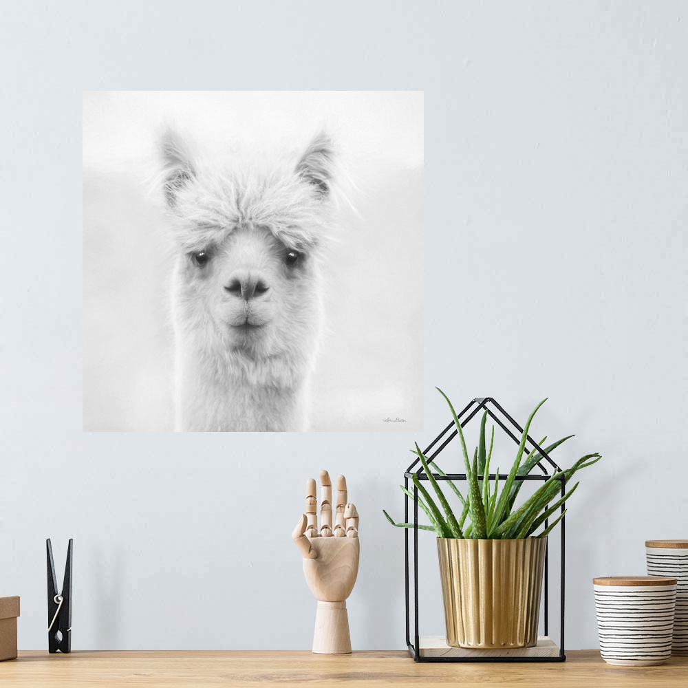 A bohemian room featuring Chip The Alpaca