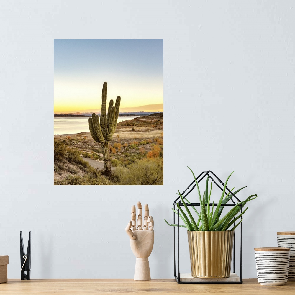 A bohemian room featuring Desert Cactus Sunset