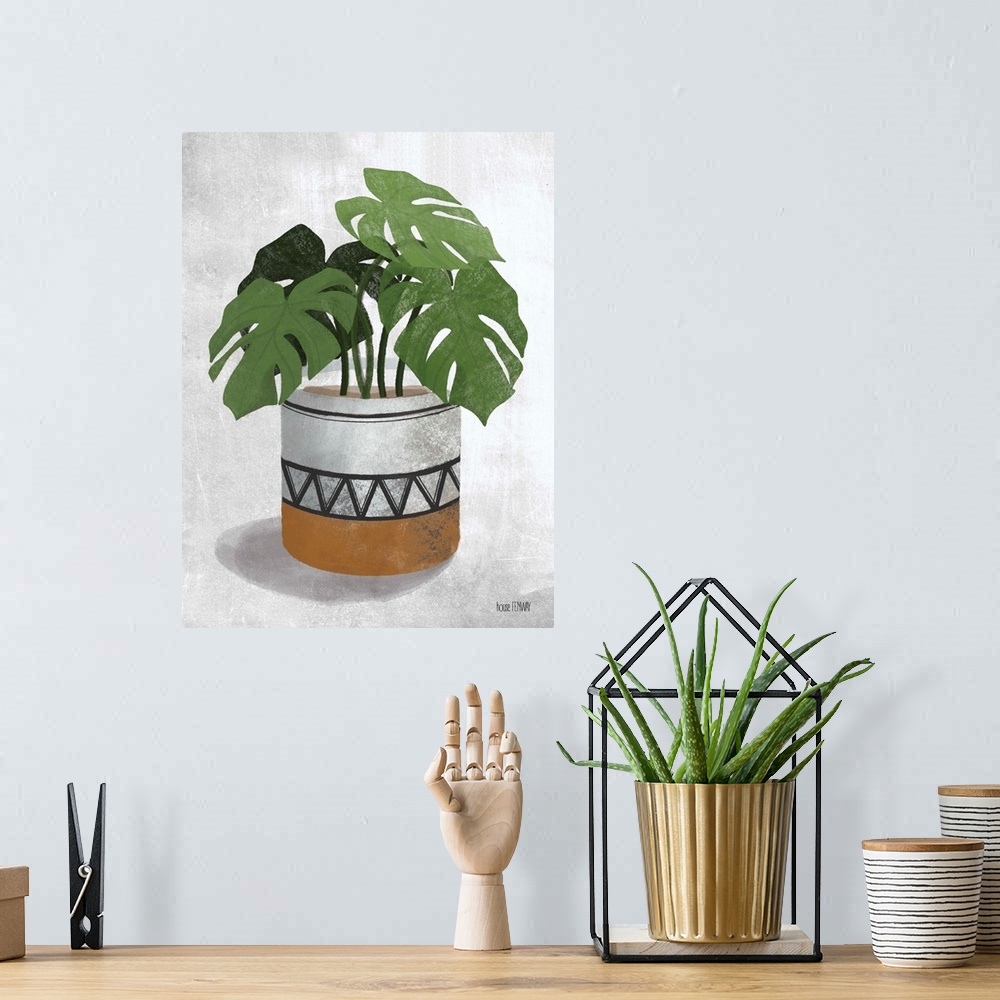 A bohemian room featuring Monstera Plant