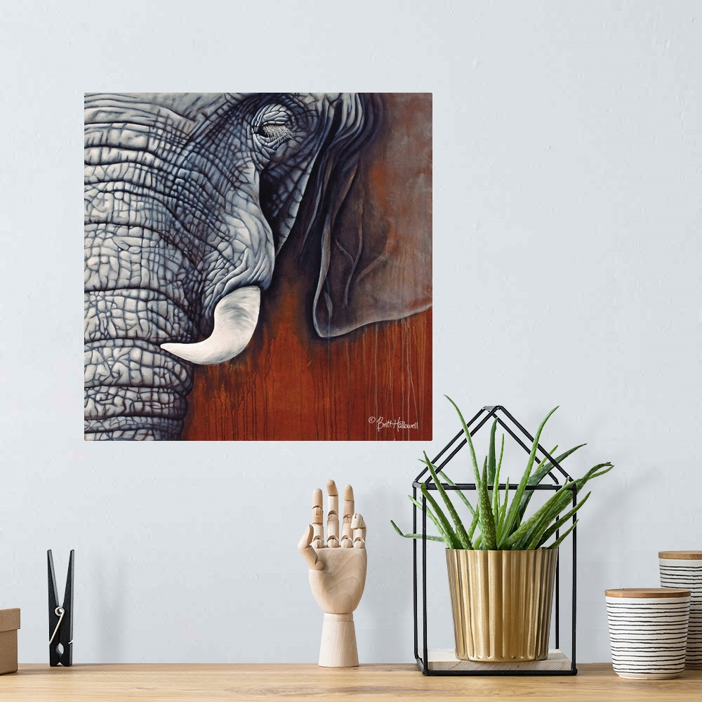 A bohemian room featuring Contemporary  close up of an elephants face, showing the rough textured surface.