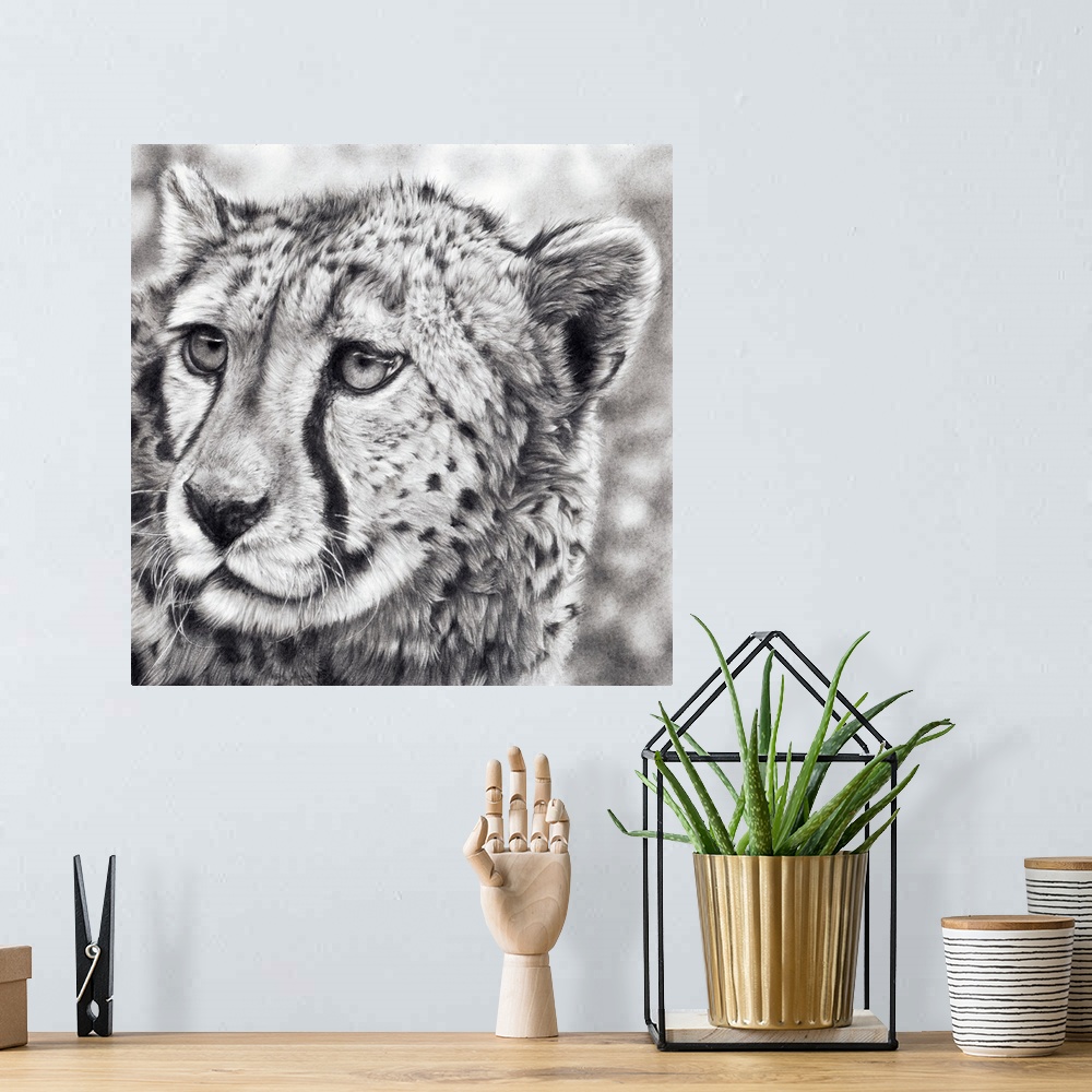 A bohemian room featuring Born To Run' is a framed, original drawing created with graphite pencils. An adolescent cheetah c...