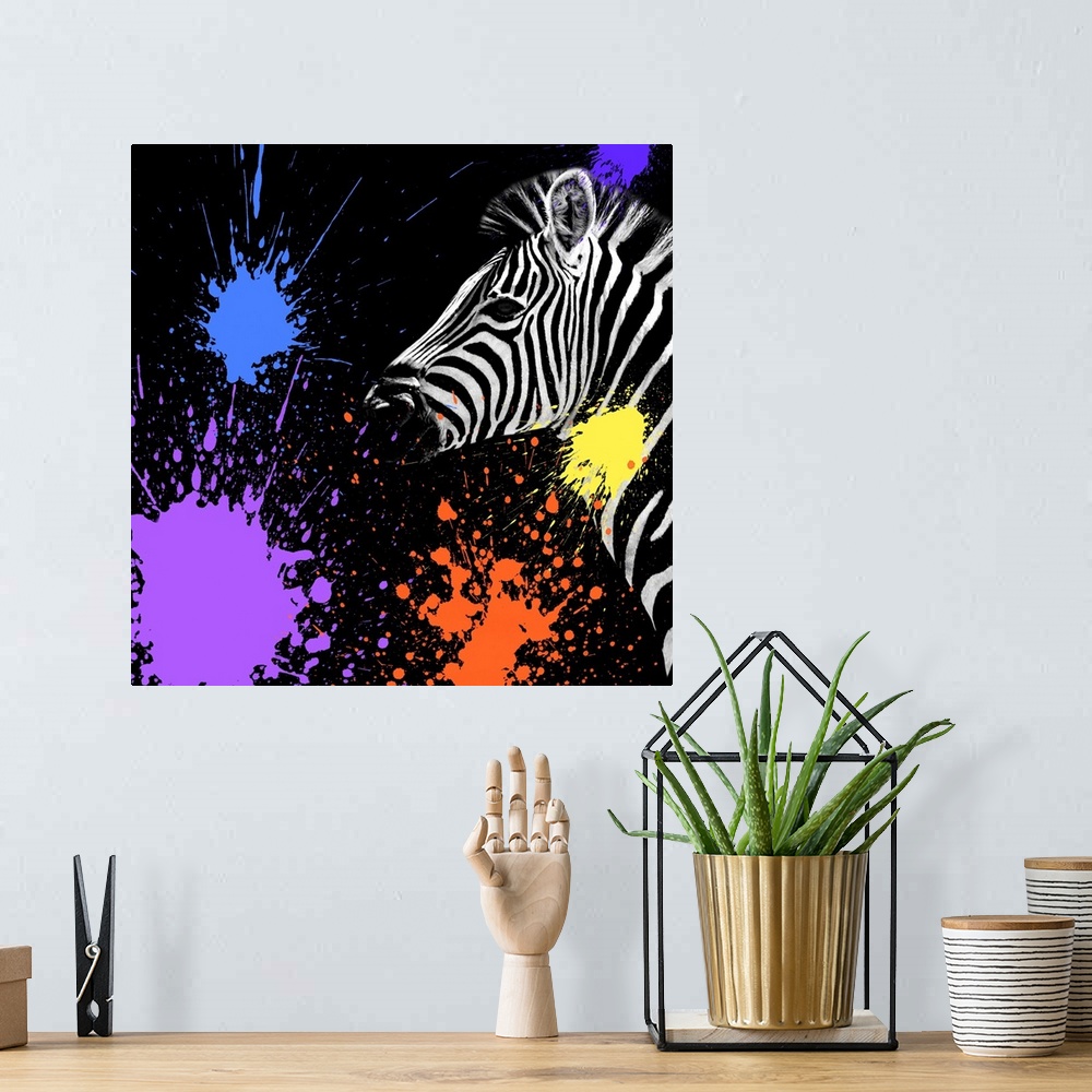 A bohemian room featuring Colourful and stylised, Safari Colors Pop adds a bright, modern touch to minimalist portraits of ...