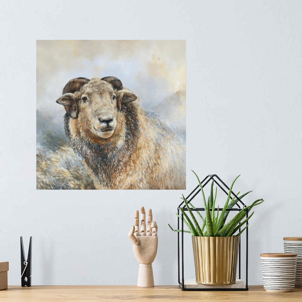 A bohemian room featuring Herdwick Sheep