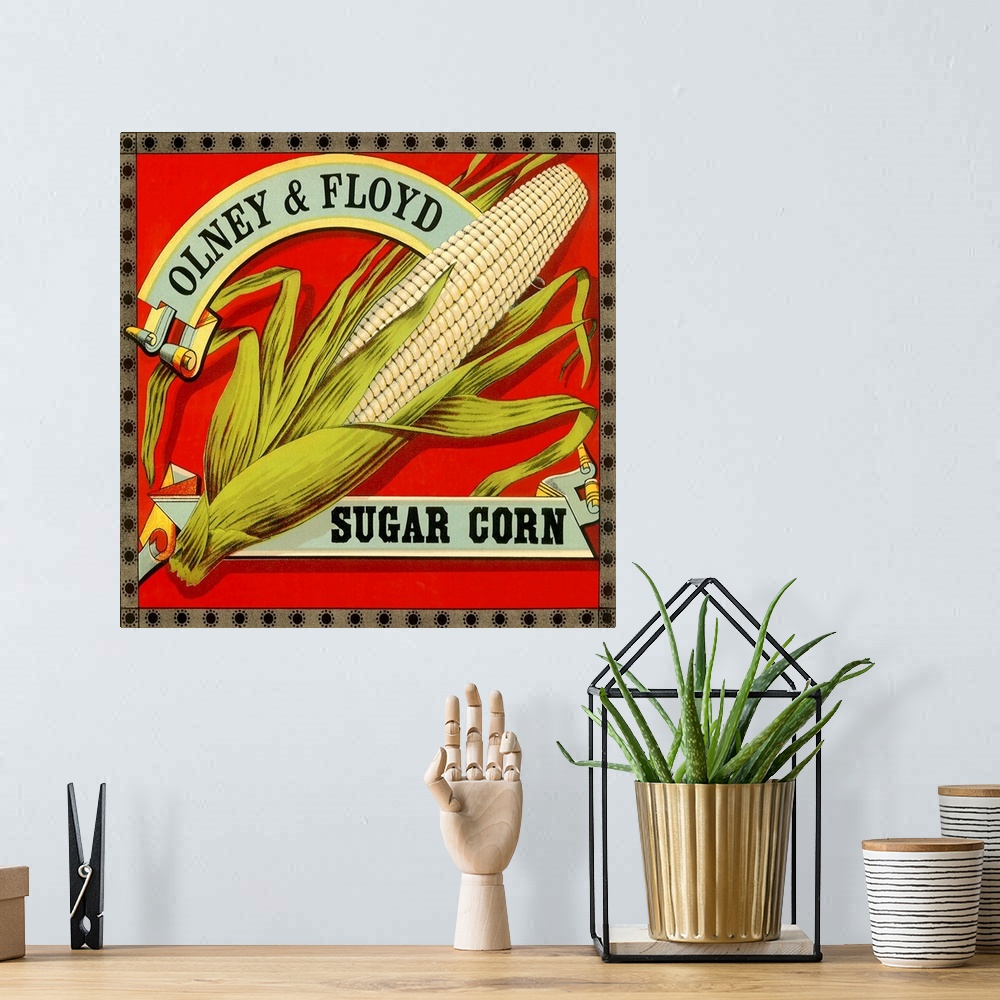 A bohemian room featuring Sugar Corn Label