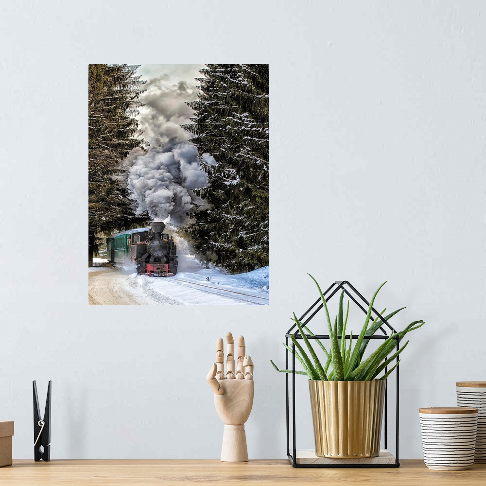 A bohemian room featuring A train approaches from between two large pine trees in the winter.