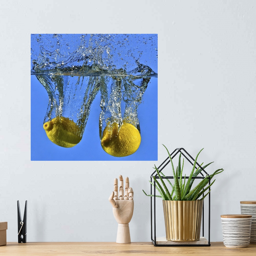 A bohemian room featuring Lemons Dressed in Blue