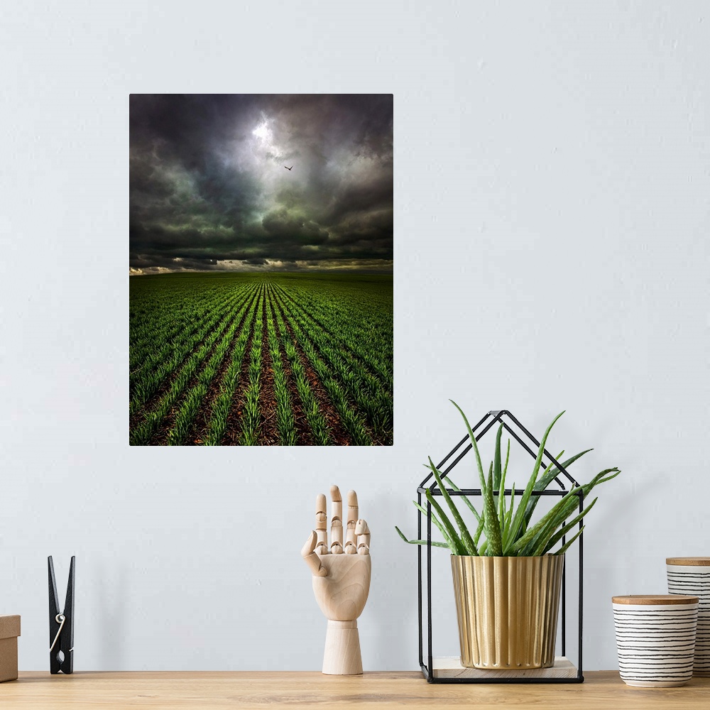 A bohemian room featuring Countryside scene looking down the field of crops under a stormy looking sky.