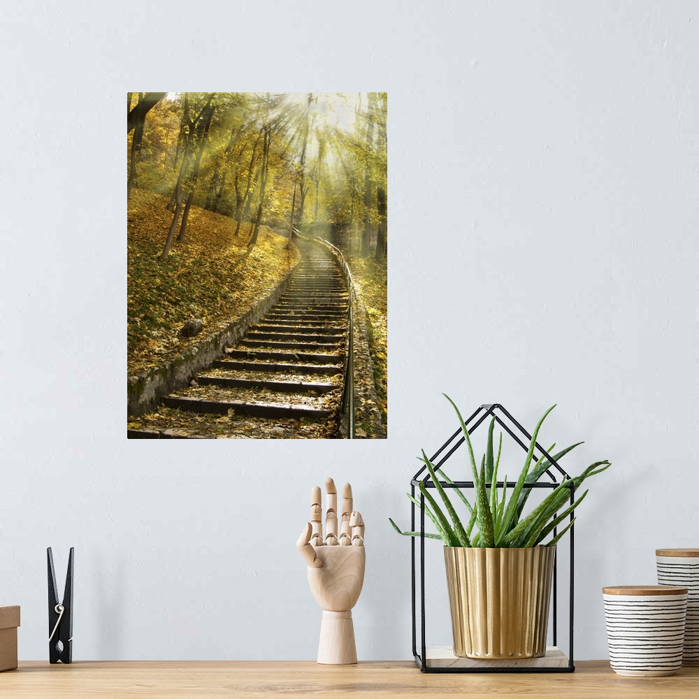 A bohemian room featuring A flight of stairs on a forest path in autumn.