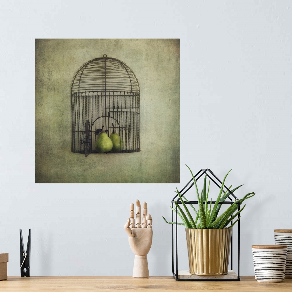 A bohemian room featuring An artistic photograph of a birdcage with an open door with pears siting inside it.