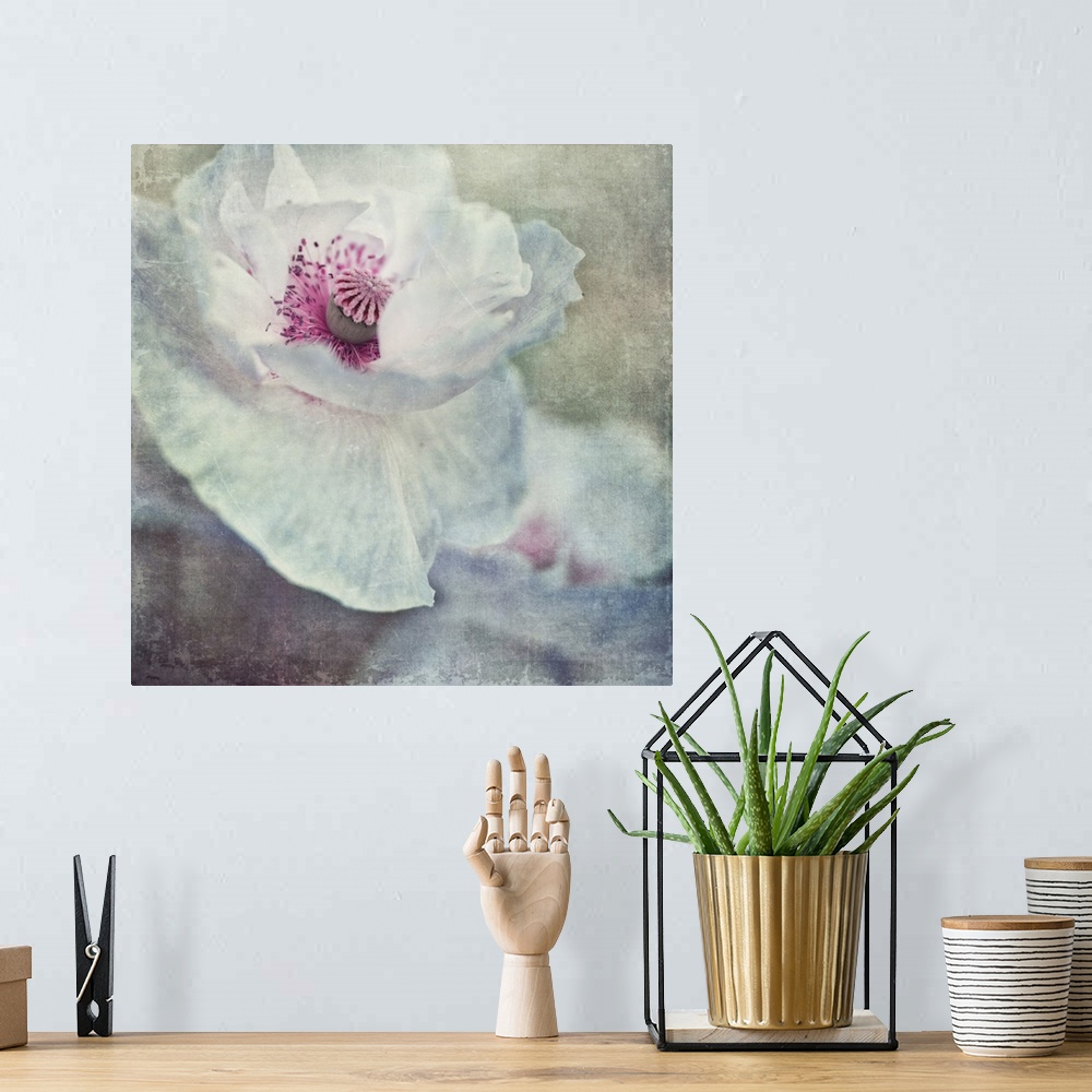 A bohemian room featuring An artistic photograph of white and pink flower close-up.