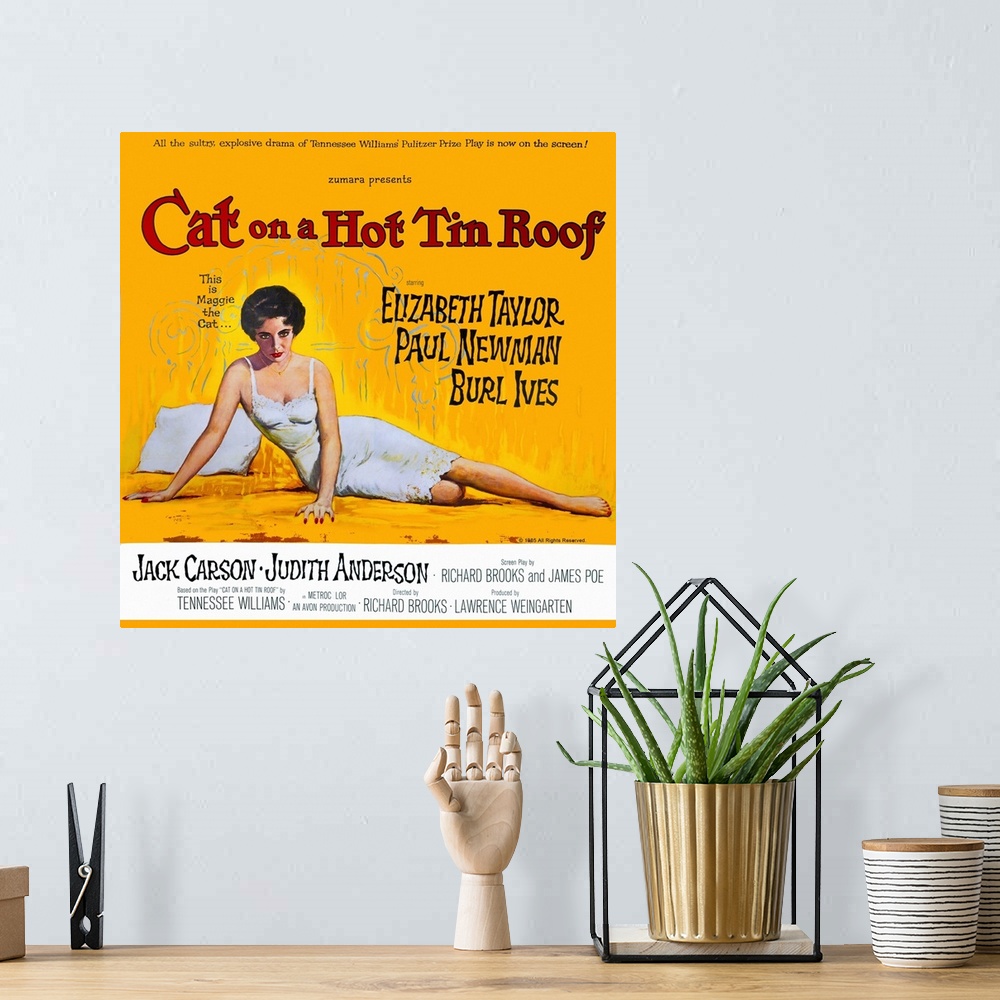 A bohemian room featuring Cat On A Hot Tin Roof