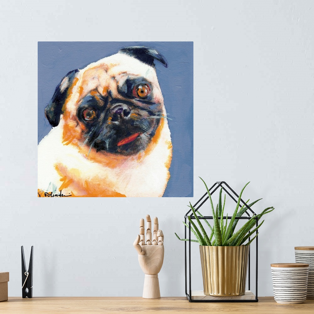 A bohemian room featuring Square painting of a Pug on a blue background.