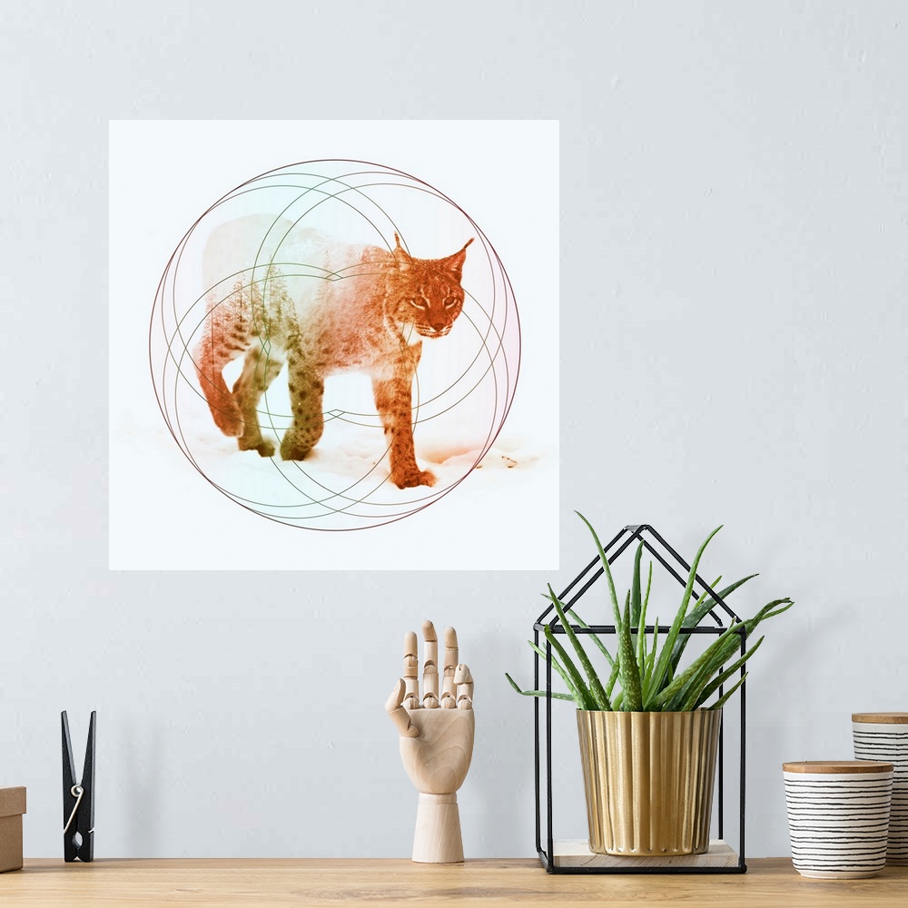 A bohemian room featuring Double exposure artwork of a lynx and a forest with circular shapes.
