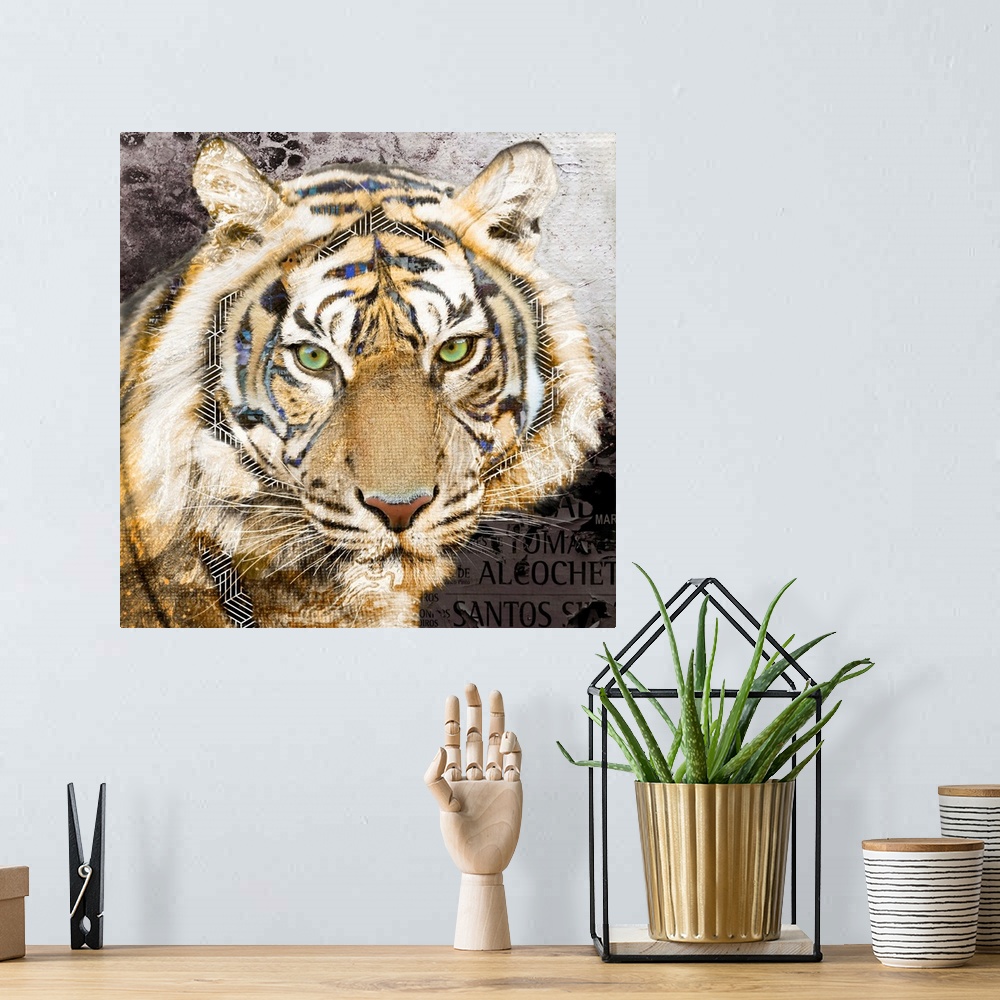A bohemian room featuring Pop Art - Tiger
