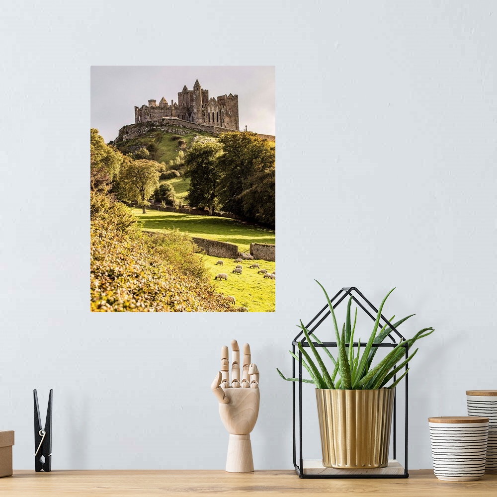 A bohemian room featuring Photograph of the Rock of Cashel located in Cashel, County Tipperary, Ireland, with a field of sh...