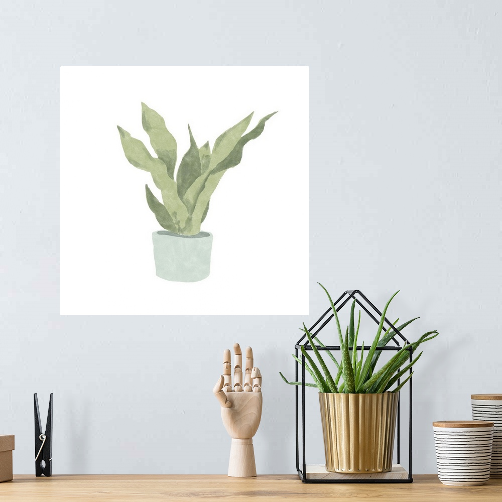 A bohemian room featuring Snake Plant II