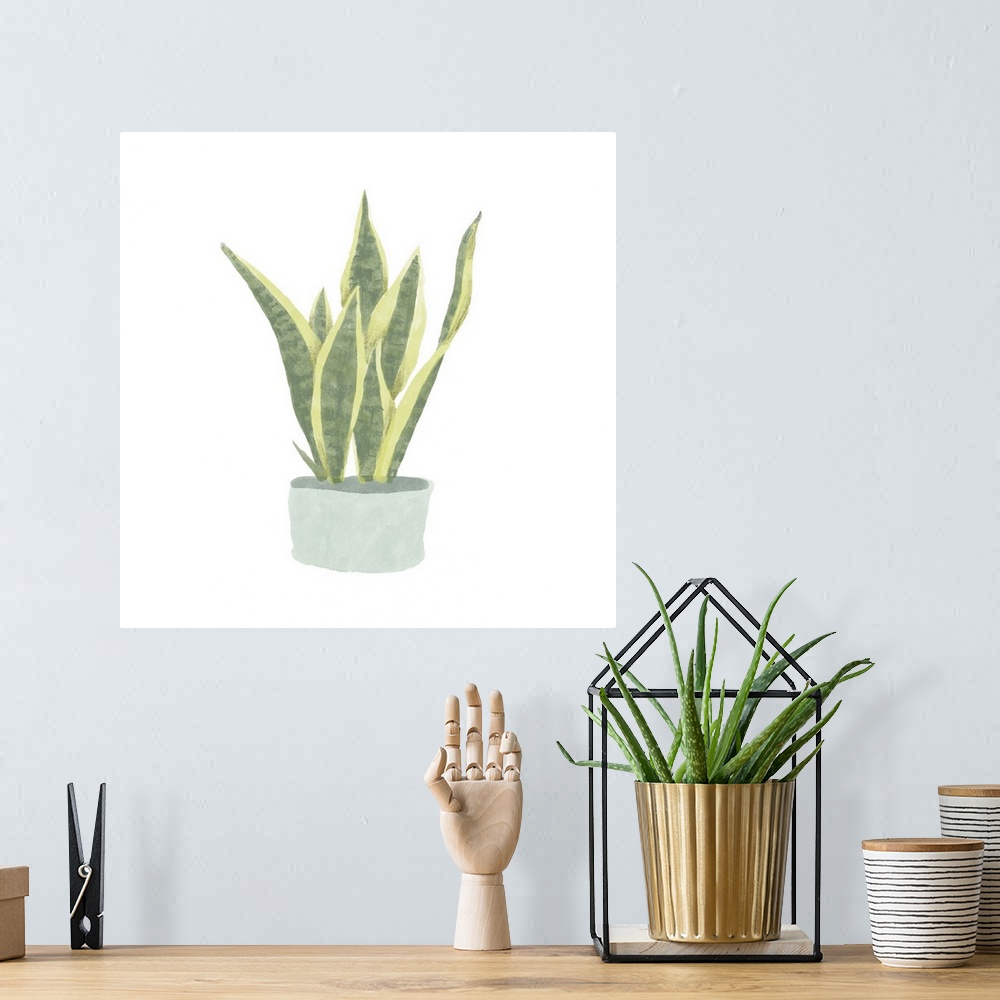 A bohemian room featuring Snake Plant III