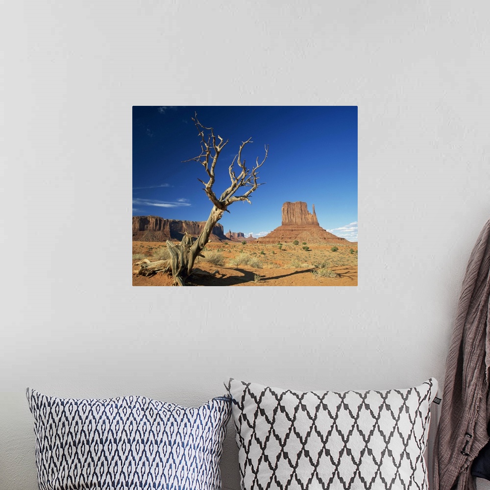 A bohemian room featuring Dead tree in the desert landscape with rock formations, Monument Valley, Arizona