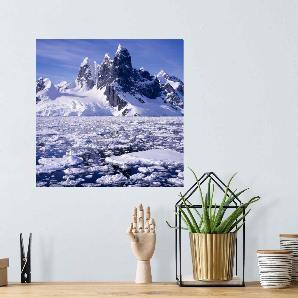 A bohemian room featuring Iceflow off the rugged west coast of the Antartic Peninsula, Antarctica