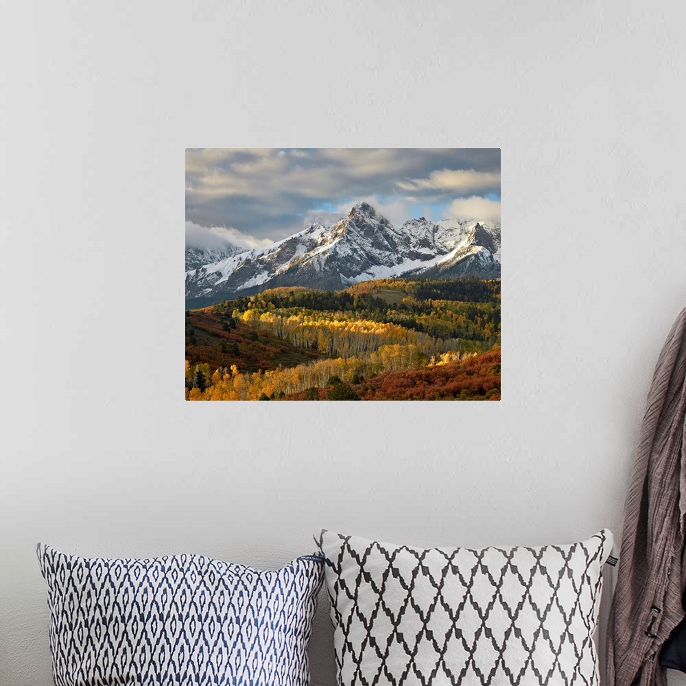 A bohemian room featuring Mears Peak with snow and yellow aspens in the fall, Colorado, USA