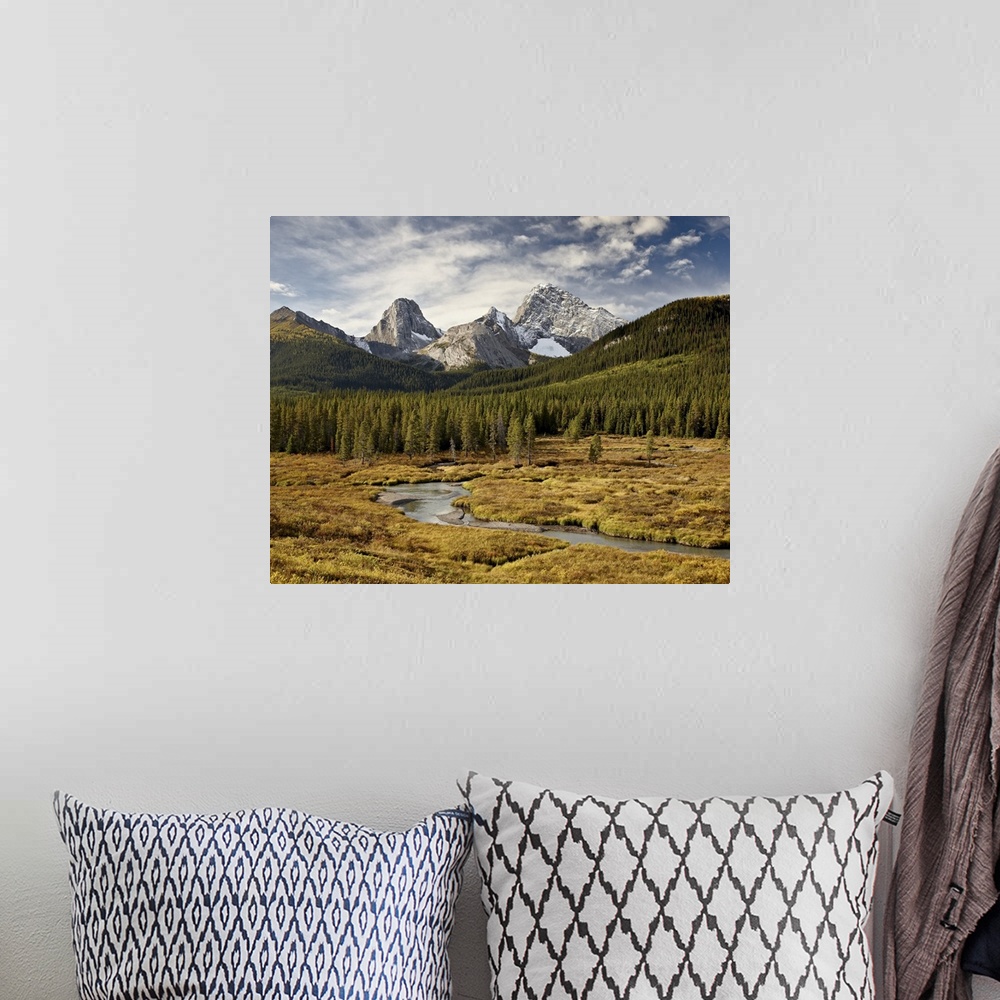 A bohemian room featuring Alpine scene in the fall with Smutts Creek, Commonwealth Peak on left, Pigs Tail (Sharks Tooth) i...