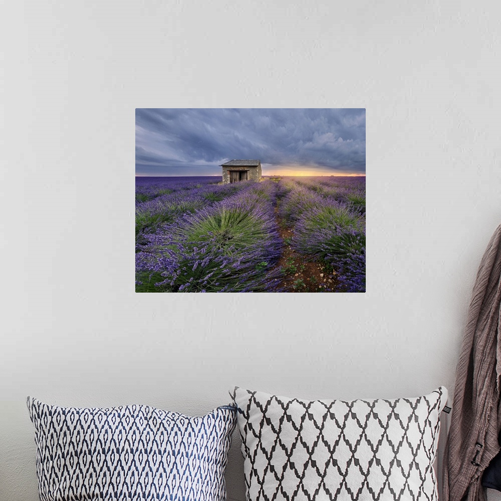 A bohemian room featuring Small stone house in lavender field at sunset with a cloudy sky, Valensole, Provence, France, Europe