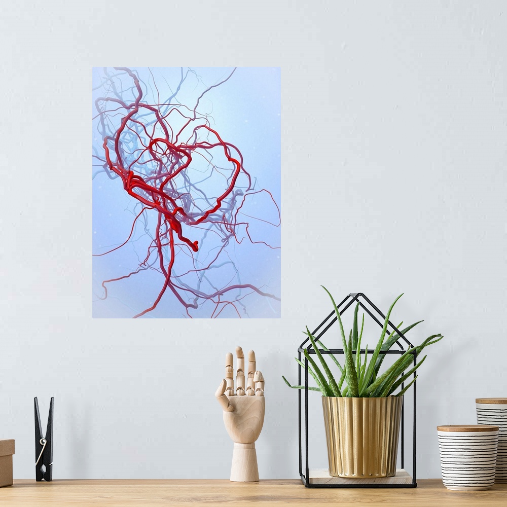 A bohemian room featuring Arteries, illustration. Arteries are blood vessels that carry oxygenated blood from the heart to ...