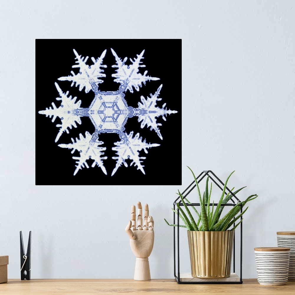 A bohemian room featuring Snowflake. Computer-enhanced image of a snow crystal. Snowflakes show a typical hexagonal symmetr...
