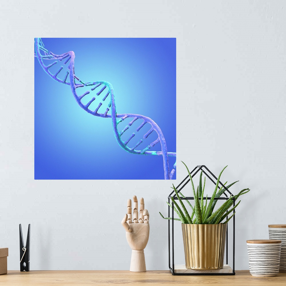 A bohemian room featuring DNA (Deoxyribonucleic acid) strand against a blue background, illustration.
