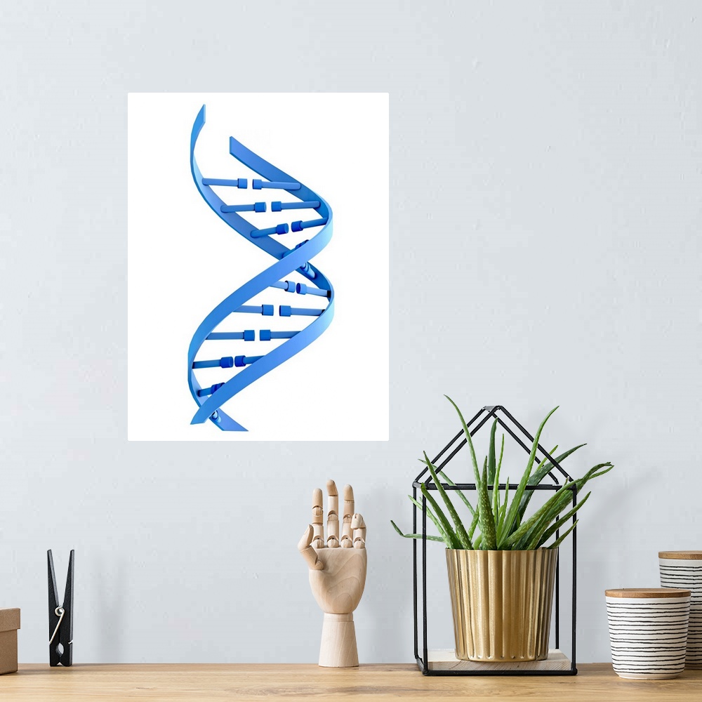 A bohemian room featuring DNA (deoxyribonucleic acid) strand, illustration.