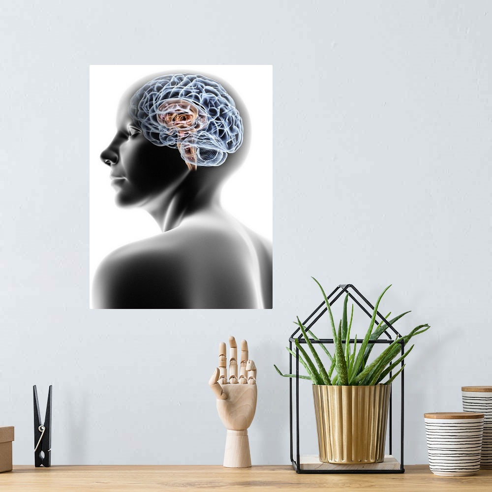 A bohemian room featuring Computer artwork of a female human head with brain.