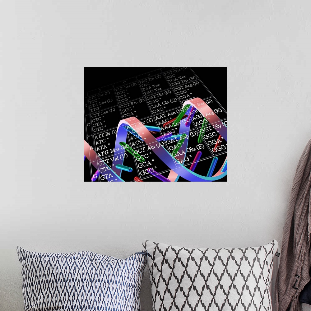 A bohemian room featuring Genetic code. Conceptual computer artwork of a DNA molecule overlaid with a table showing how a g...