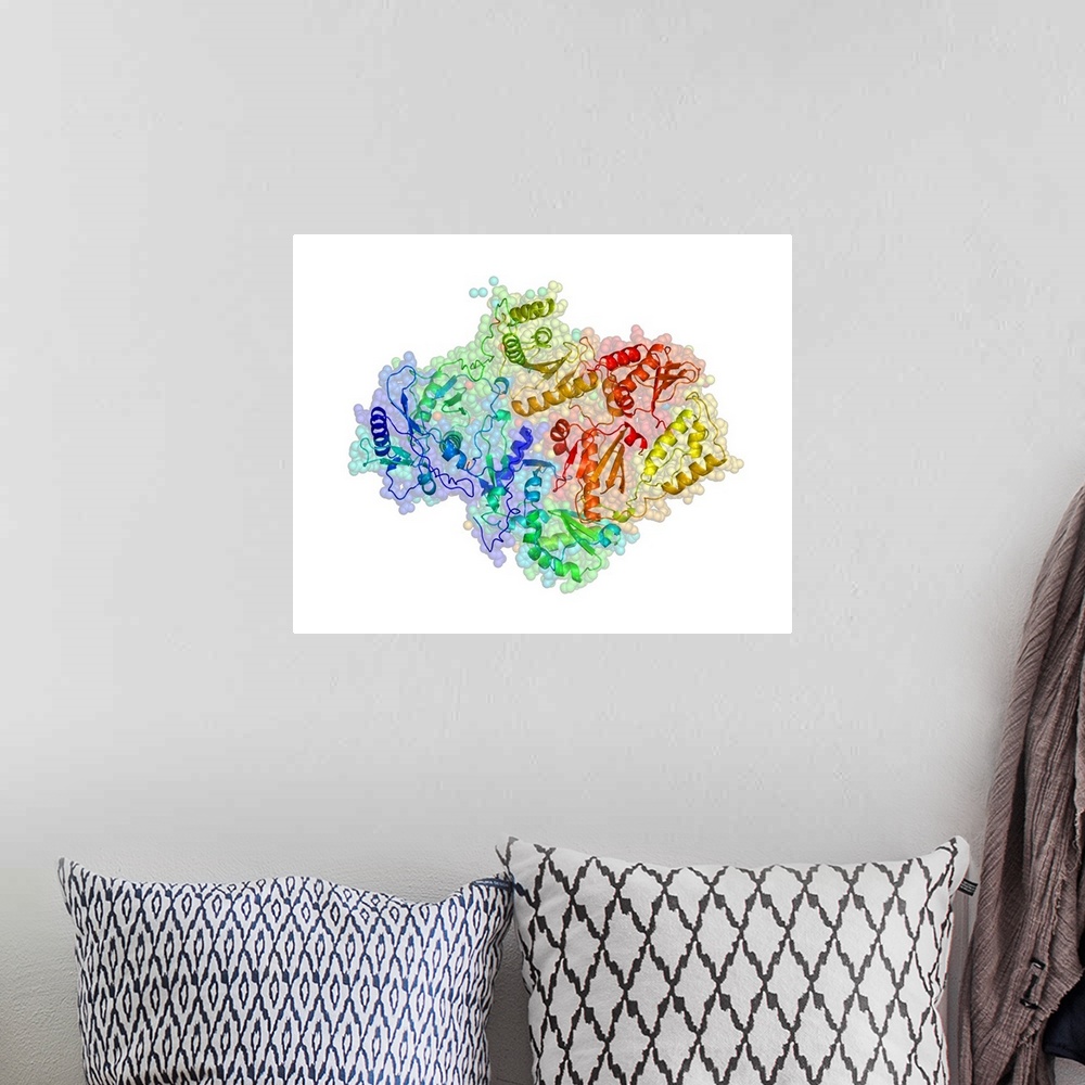 A bohemian room featuring HIV reverse transcription enzyme. Molecular models of the reverse transcriptase enzyme found in H...