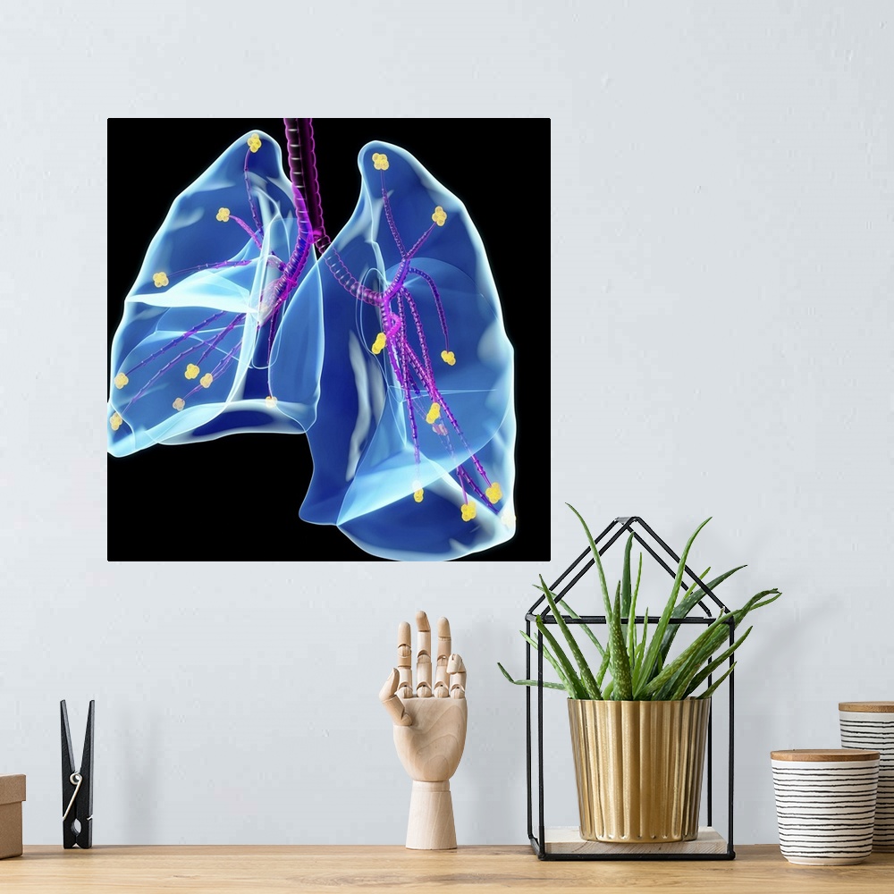 A bohemian room featuring Human lungs, computer artwork.