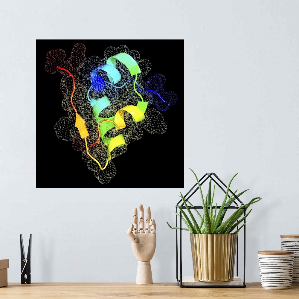 A bohemian room featuring Insulin. Computer artwork of a molecule of insulin. Insulin is a hormone produced by the pancreas...