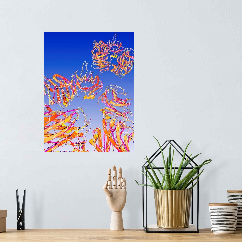 A bohemian room featuring C-reactive proteins, computer artwork. C-reactive proteins (CRPs) are produced by the liver durin...