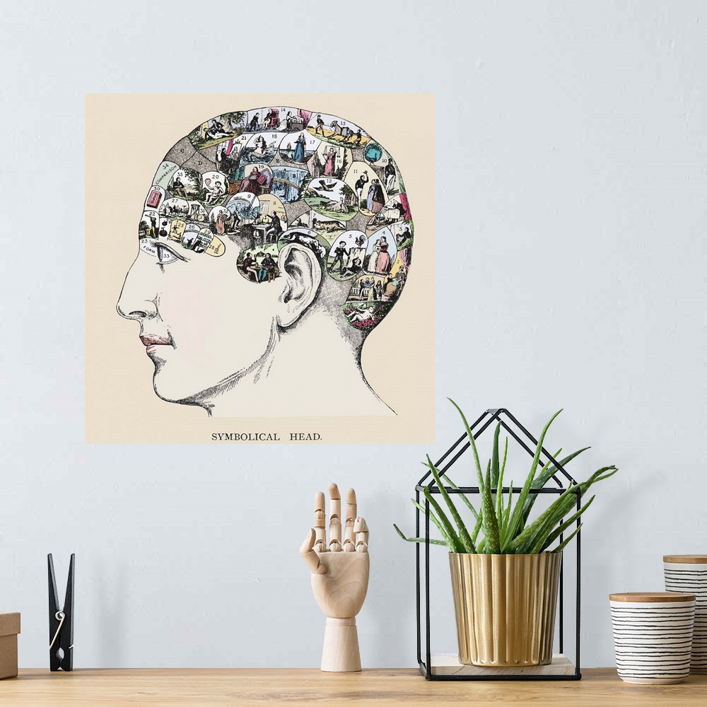 A bohemian room featuring Phrenology chart. Phrenology is a pseudo-science that states that a person's personality and char...