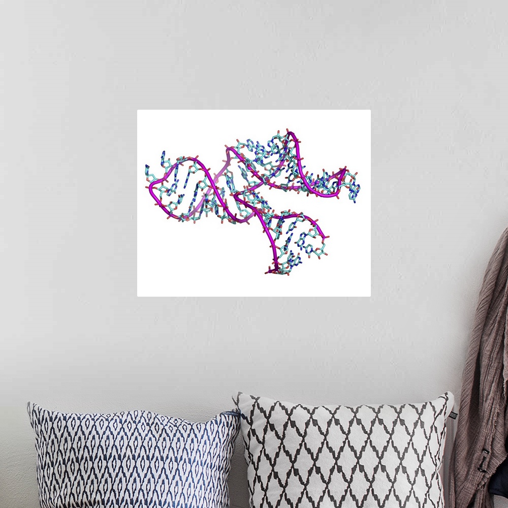 A bohemian room featuring Ribozyme. Computer model of a ribozyme molecule. Ribozymes are RNA (ribonucleic acid) molecules t...