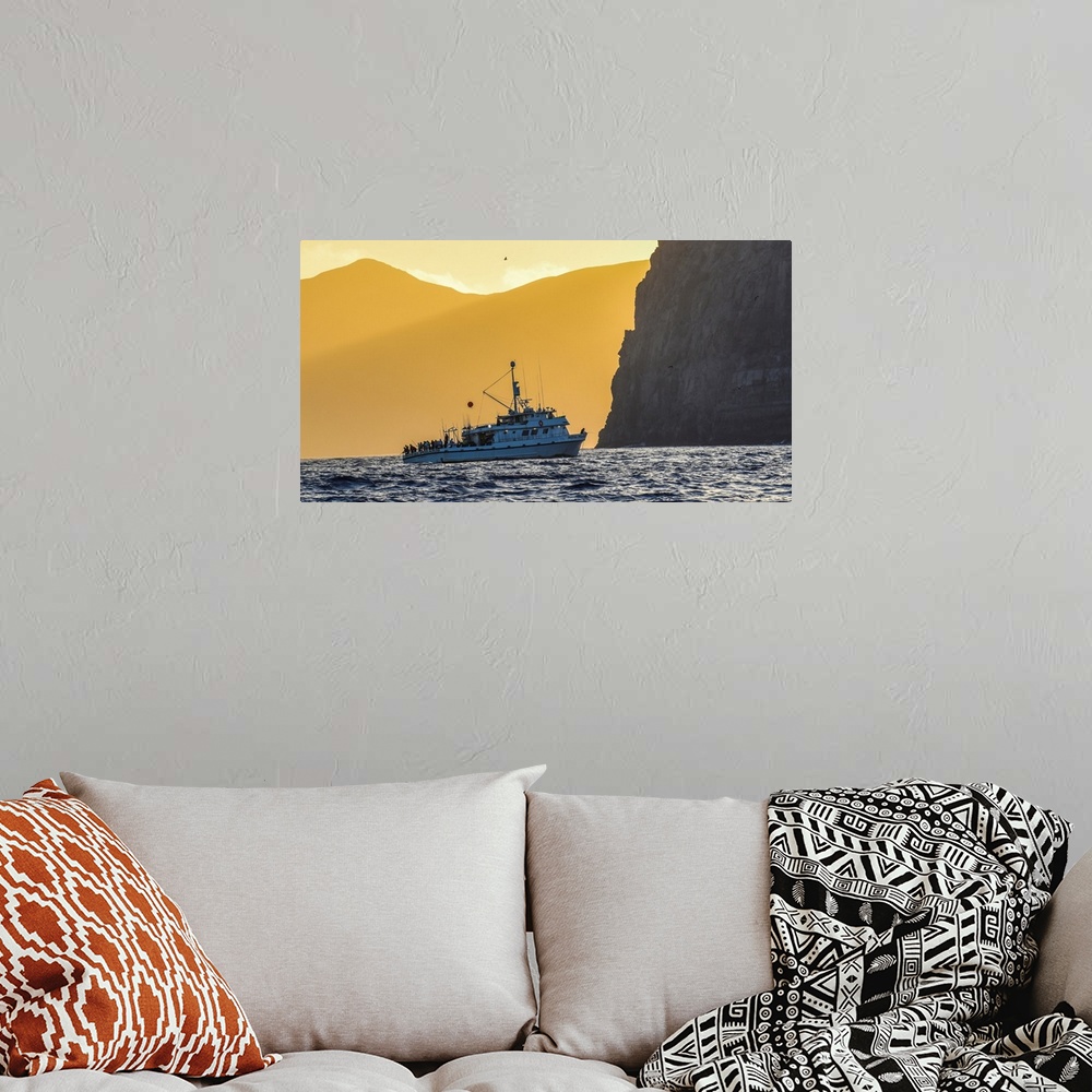 A bohemian room featuring Guadalupe Island, Mexico. The Royal Polaris fishes in tight at sunset near Guadalupe island, Mexico.