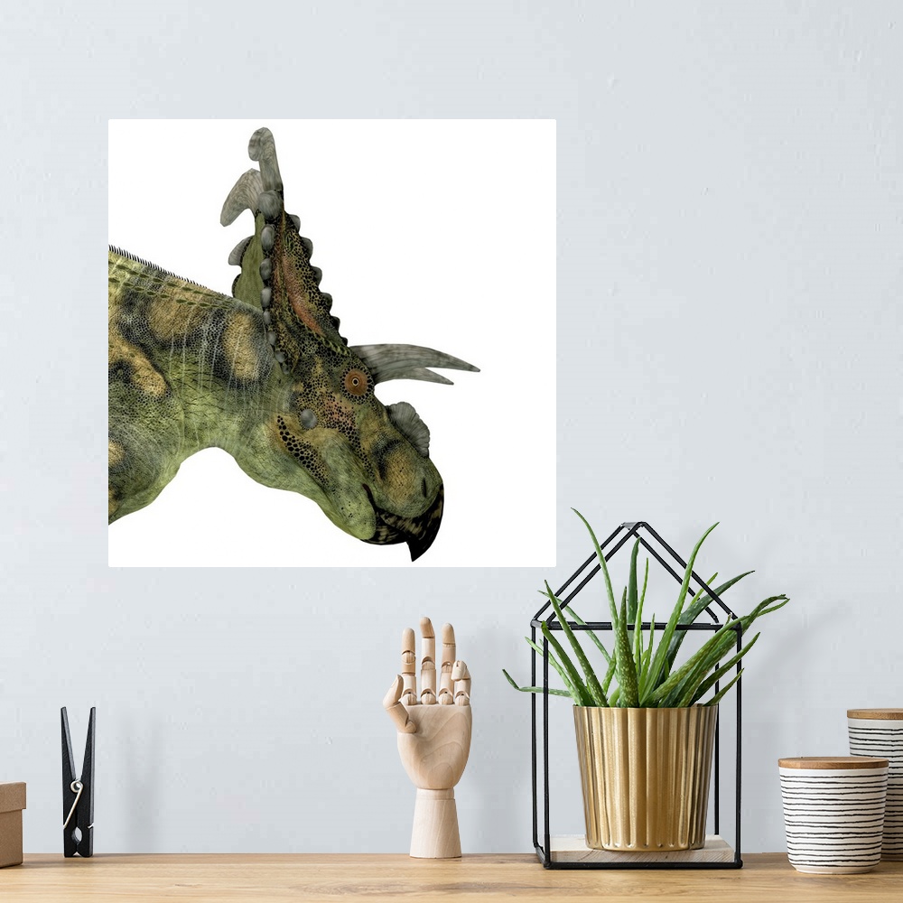 A bohemian room featuring Albertaceratops is a herbivorous dinosaur that lived in Upper North America during the Cretaceous...