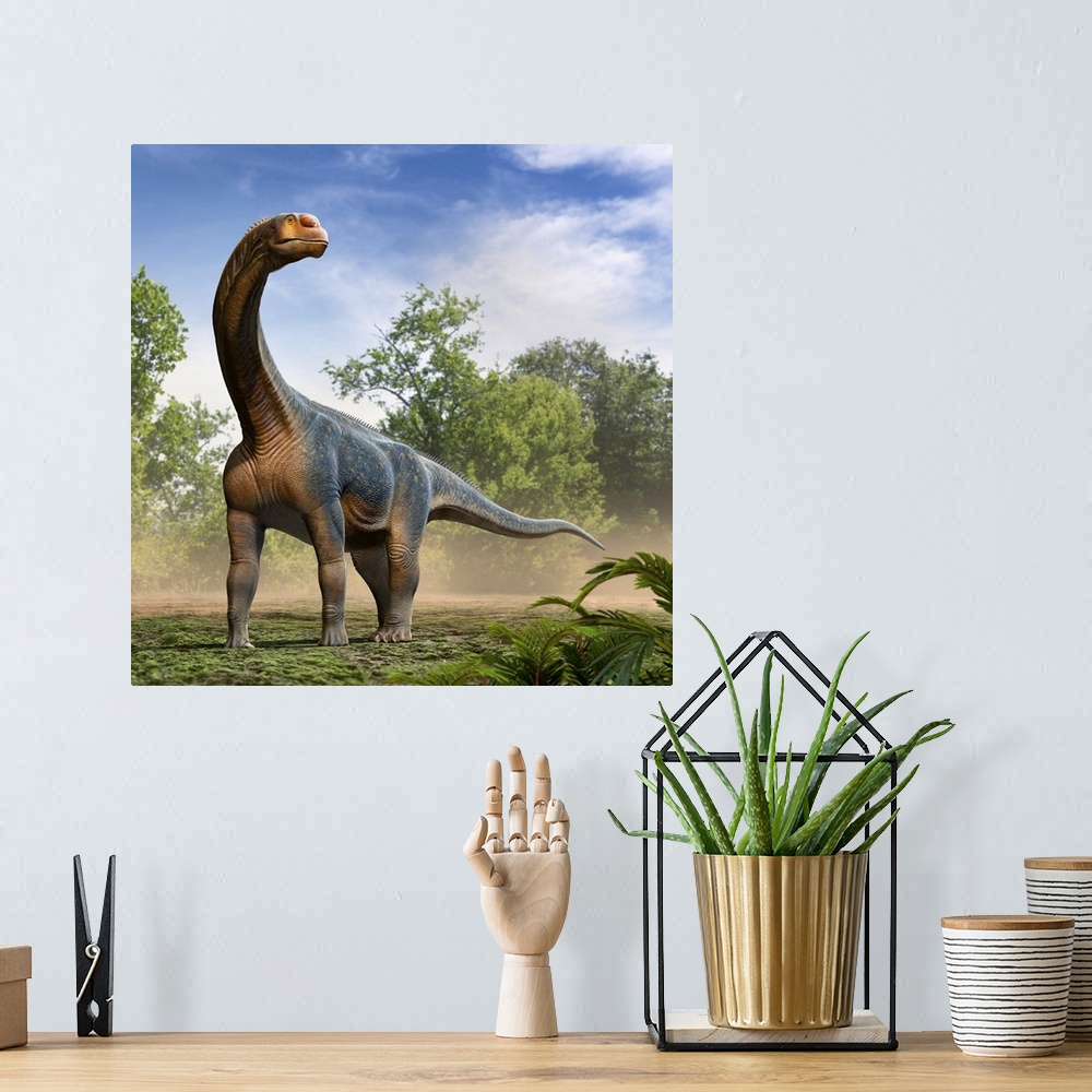 A bohemian room featuring Camarasaurus dinosaur roaming in the forest.