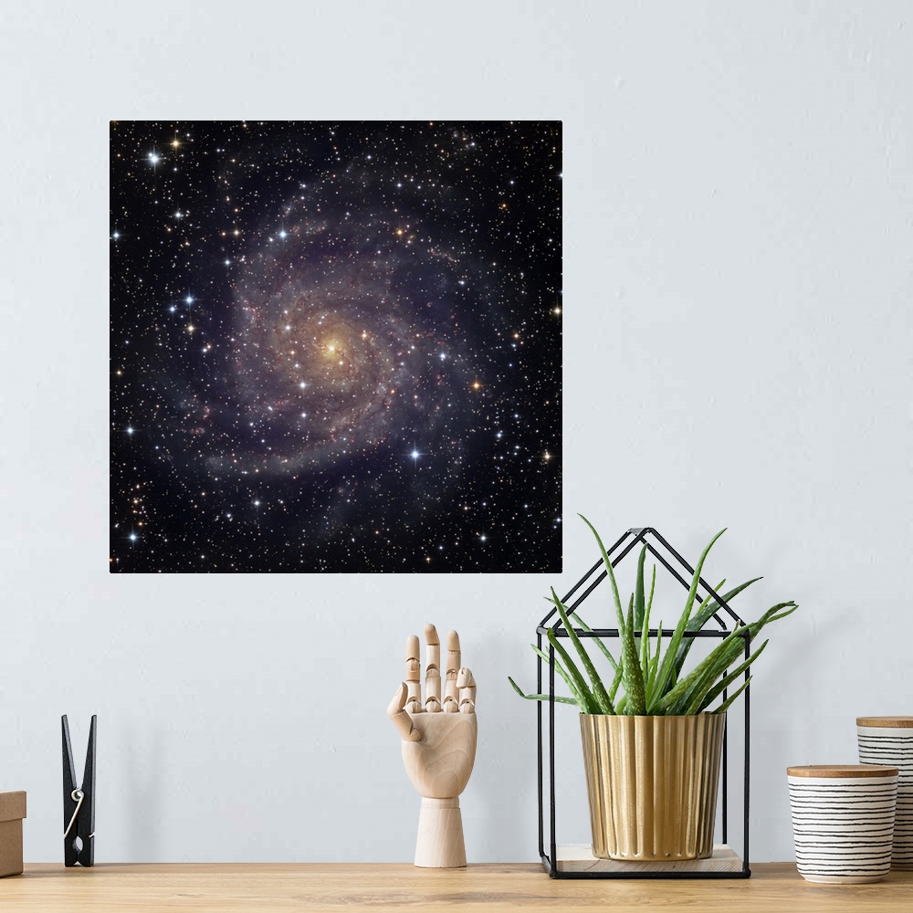 A bohemian room featuring IC 342 an intermediate spiral galaxy in the constellation Camelopardalis