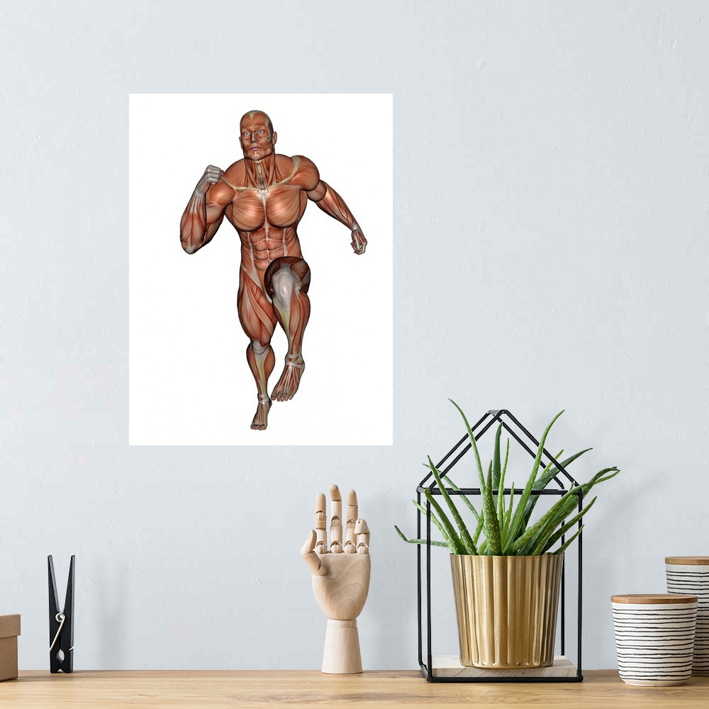A bohemian room featuring Muscular man running, isolated on white background.
