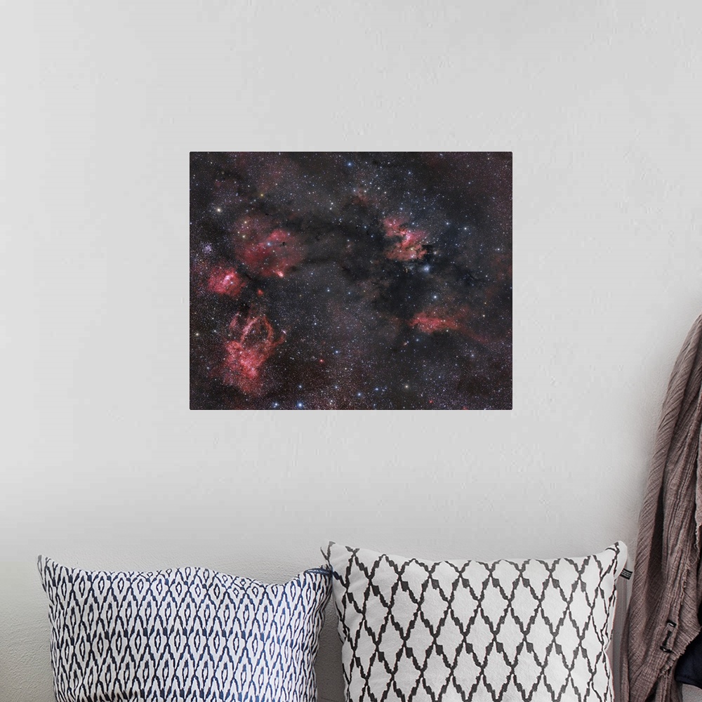 A bohemian room featuring Lots of dust and gas nebulosity within the Cepheus constellation.
